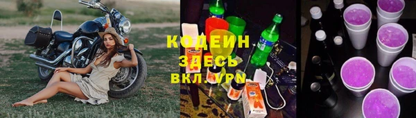 хмурый Лагань