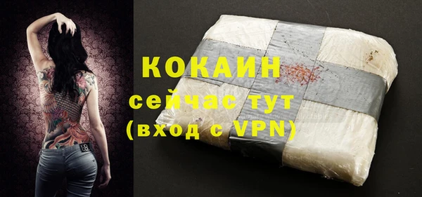 хмурый Лагань
