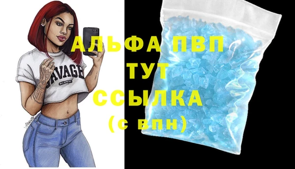 хмурый Лагань